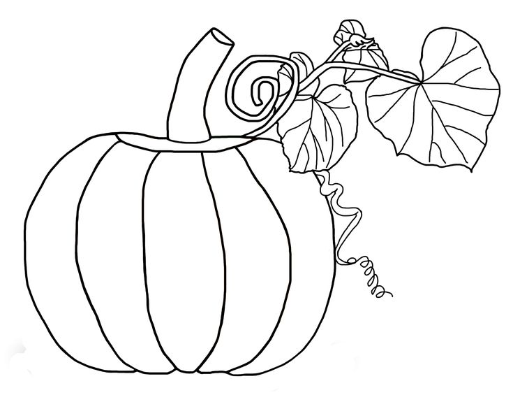 735x565 195 Fun Pumpkin Coloring Pages For Kids