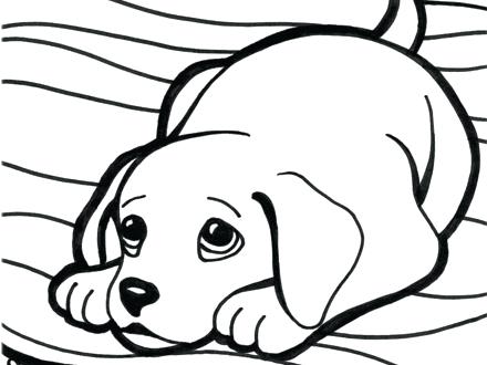 Puppy Coloring Sheets Yellow Lab Coloring Pages Yellow Lab Puppy 440x330 Puppy Coloring Sheets Yellow Lab Coloring Pages Yellow Lab Puppy
