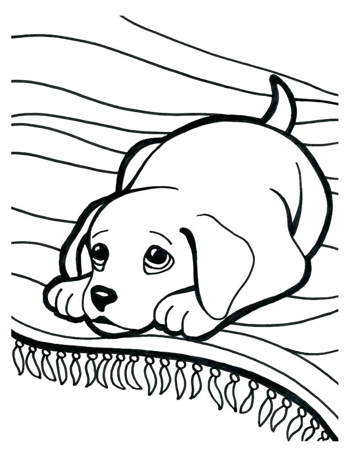 728x950 Puppy Coloring Pages Valentine Coloring Pages For Girls Colouring