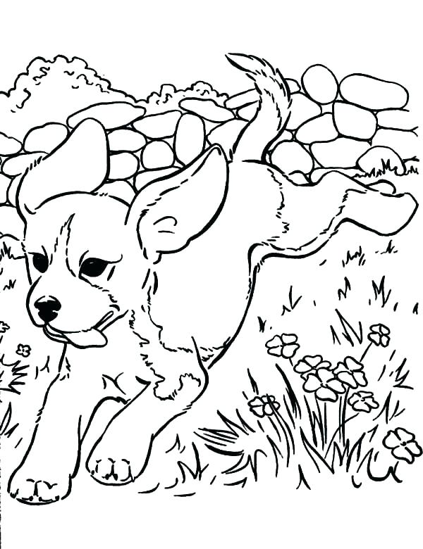 600x780 Image Result For Puppy Templates Templates Free Coloring Pages