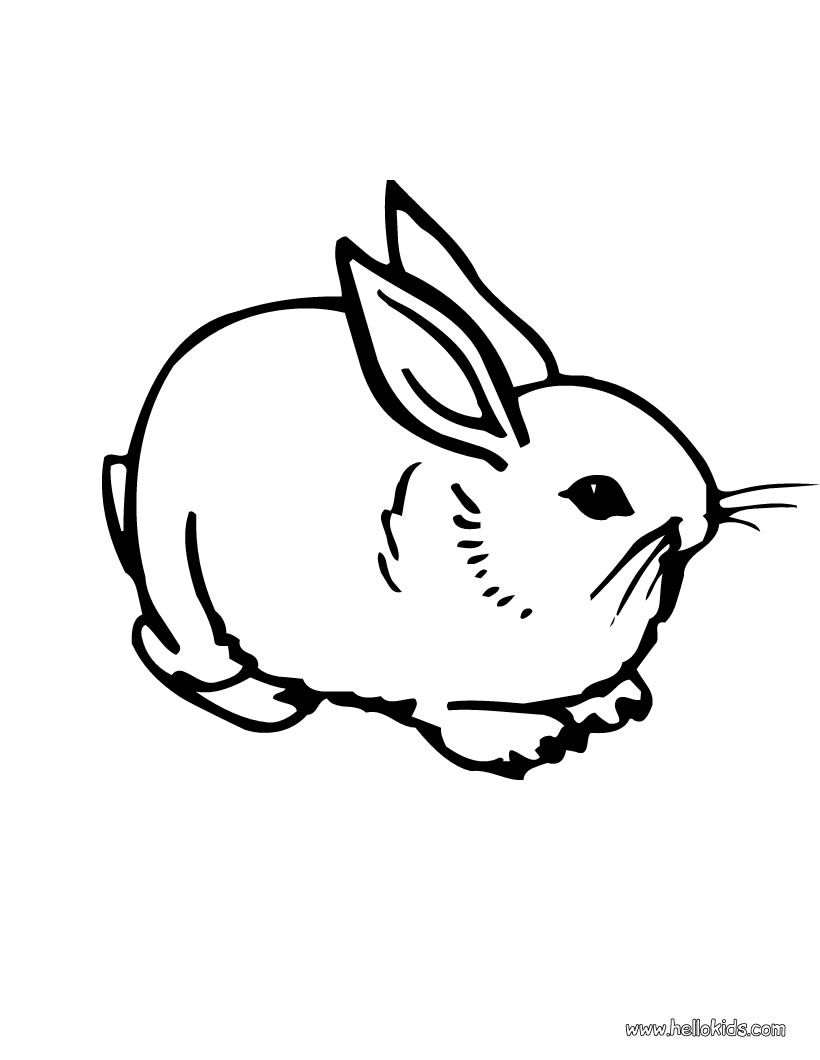 820x1060 Cute Bunny Coloring Pages Cute Bunny Coloring Pages Skiny