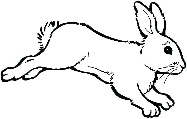 600x383 Coloring Page Rabbit Impair.co