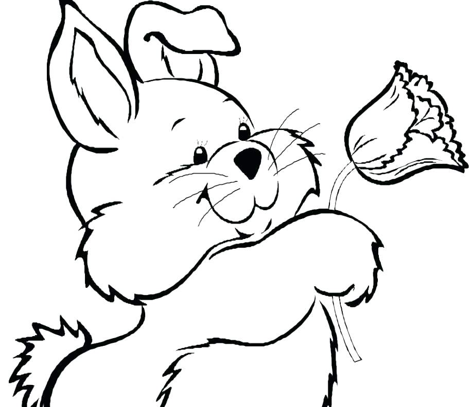 917x792 Bunny Color Pages Also Cute Bunny Coloring Pages Rabbit A Baby