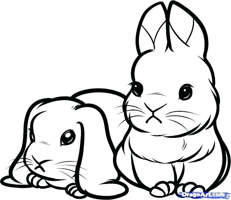 736x637 Bunny Rabbit Coloring Pages Printable Rabbit Coloring Pages