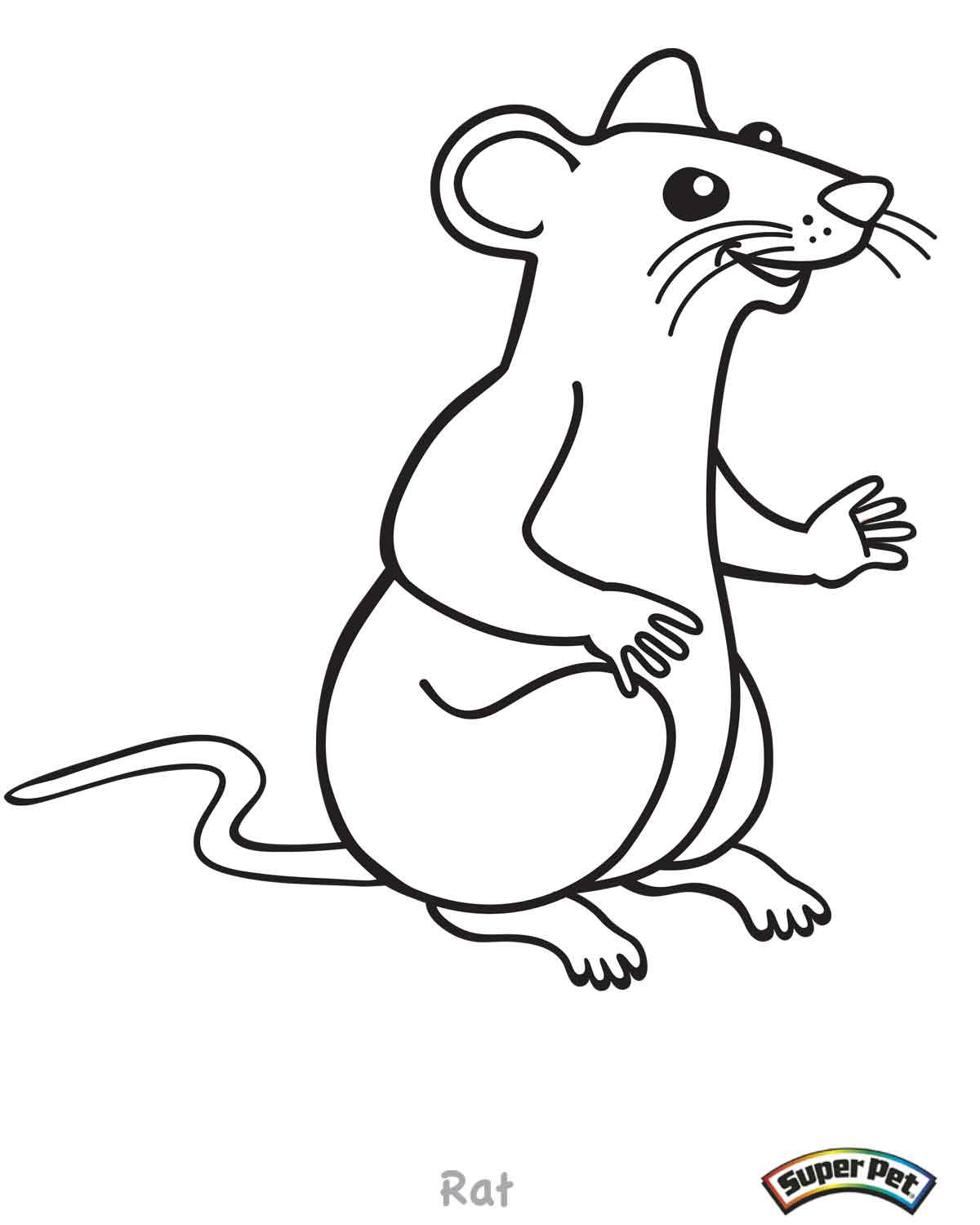 1200x1500 Rat Coloring Page. Rat Terrier Coloring Page. Mouse Rat Coloring