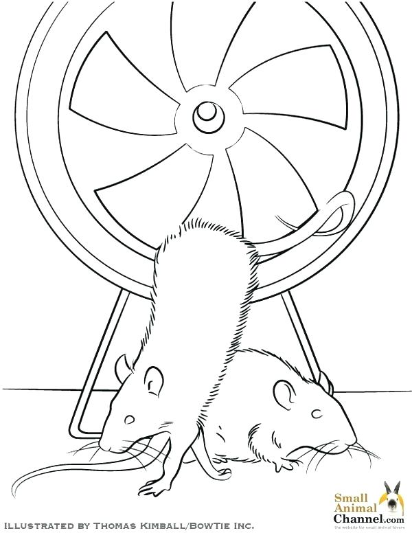 600x776 Rat Coloring Pages Gerbil Coloring Pages Rat Coloring Page Gerbil