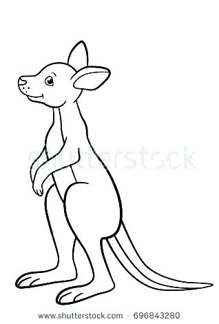 318x470 Kangaroo Pictures To Color