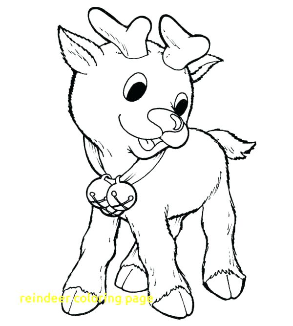 600x667 Coloring Pages Of Reindeer Coloring Pages Coloring Page Coloring
