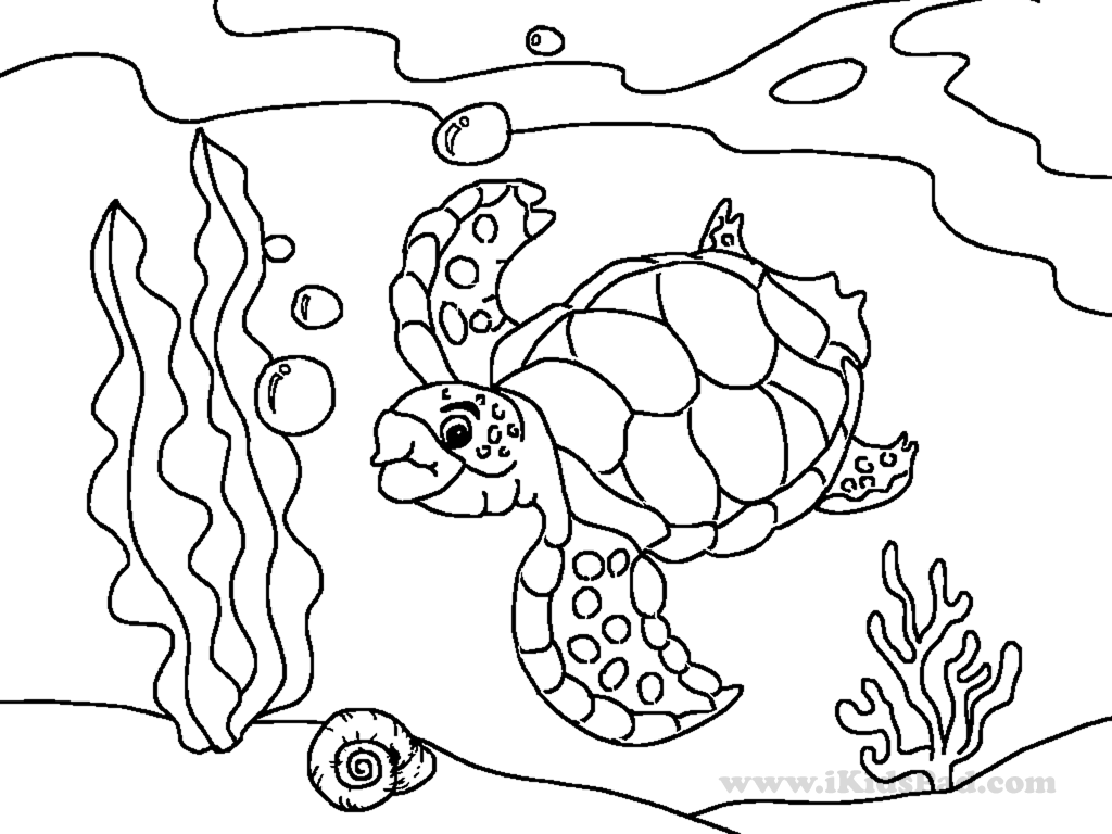 Cute Sea Animal Coloring Pages at GetColorings.com | Free printable ...