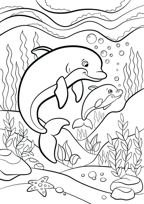565x800 Marine Animals Coloring Pages Vanda