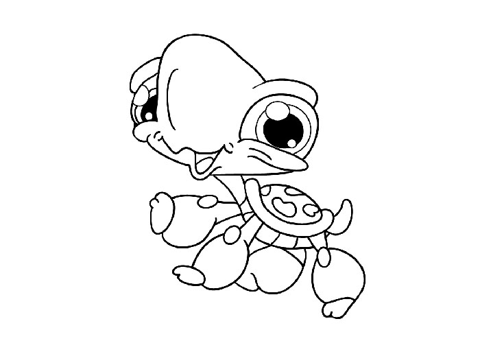 Cute Turtle Coloring Pages 700x500 Cute Turtle Coloring Pages
