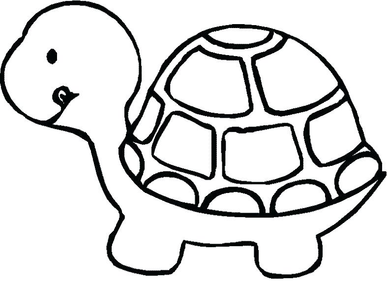 Sea Turtle Coloring Page Also Turtle For Coloring Cute Turtle 787x579 Sea Turtle Coloring Page Also Turtle For Coloring Cute Turtle