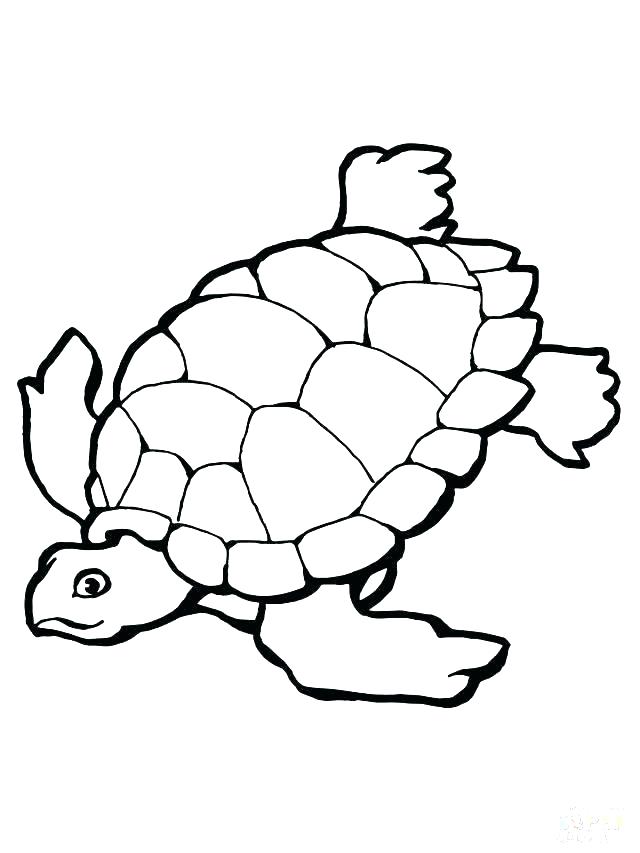 Sea Turtle Coloring Pages To Print Free Printable Sea Turtle Adult 640x853 Sea Turtle Coloring Pages To Print Free Printable Sea Turtle Adult