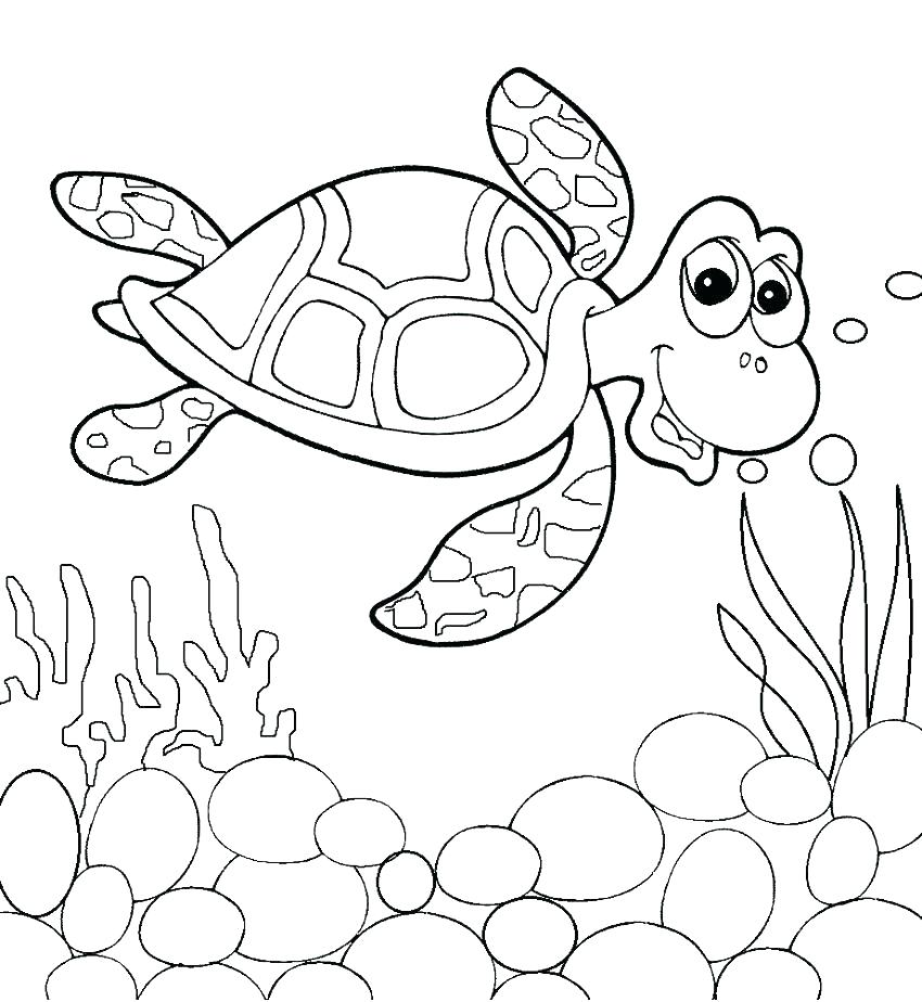 Sea Turtles Coloring Pages Loggerhead Sea Turtle Coloring Page 850x924 Sea Turtles Coloring Pages Loggerhead Sea Turtle Coloring Page