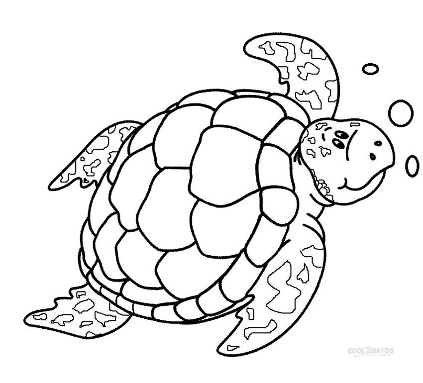 Wondrous Inspration Sea Turtle Coloring Pages 2 To Print Printable 850x770 Wondrous Inspration Sea Turtle Coloring Pages 2 To Print Printable