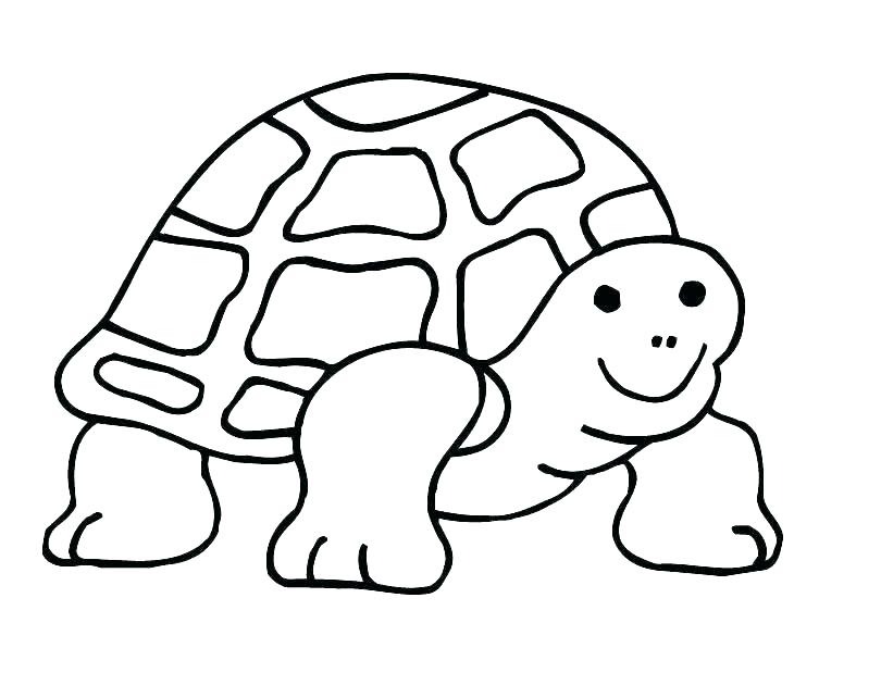 Coloring Page Of Turtle Impair.co 810x630 Coloring Page Of Turtle Impair.co