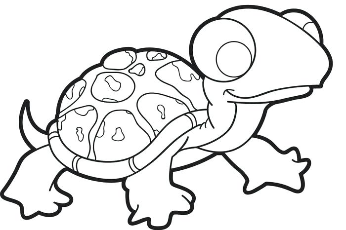 Baby Turtle Coloring Page Free Printable Turtle Coloring Page 700x466 Baby Turtle Coloring Page Free Printable Turtle Coloring Page