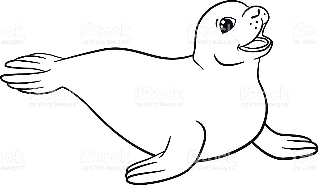 1024x597 Seal Coloring Pages Best Of Coloring Pages Little Cute Seal Stock