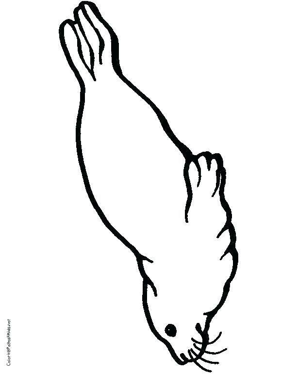 612x769 Seal Coloring Pages Breathtaking Seal Coloring Pages In Picture