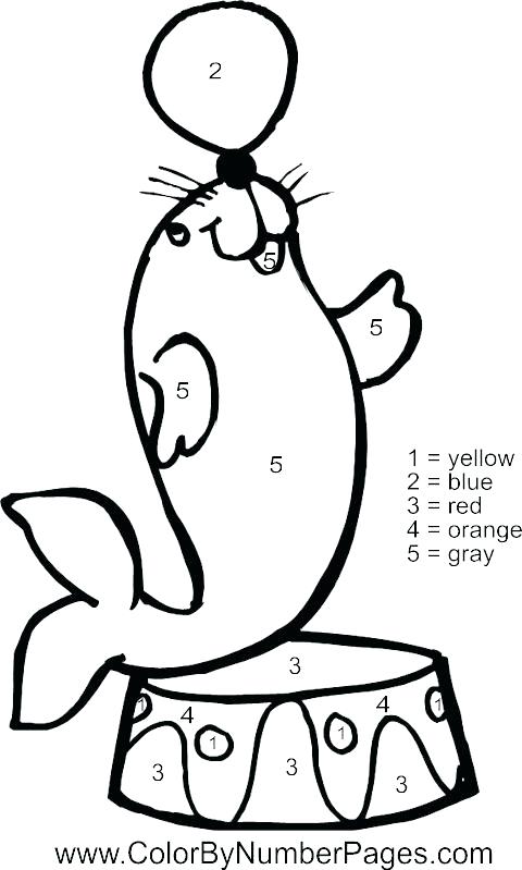 480x799 Seal Coloring Pages Seal Coloring Pages Harp Seal Coloring Pages
