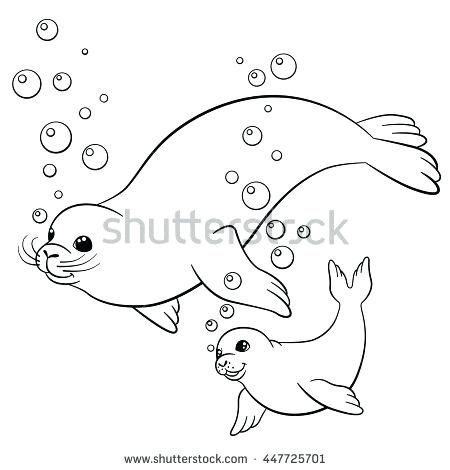 450x470 Baby Seal Coloring Pages