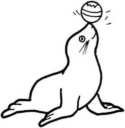 246x253 Cute Baby Seal Coloring Pages For Kid Coloringcosplaypiccom, Baby