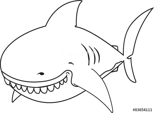 500x368 Shark Coloring Book Smiling Cartoon Great White Book Illustration
