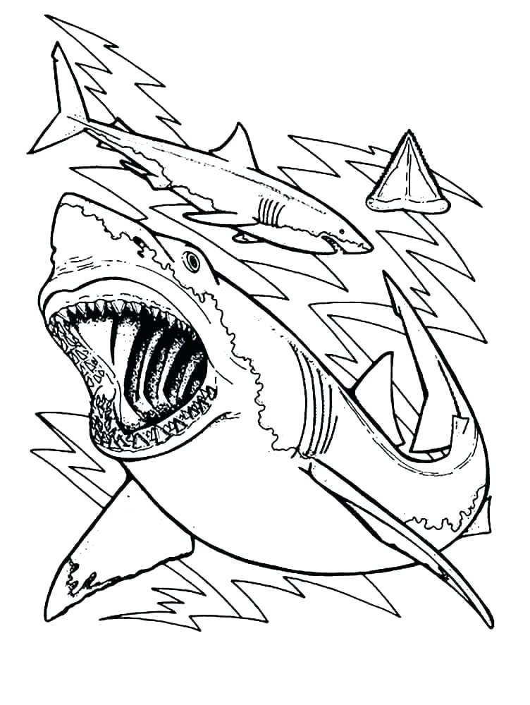 Cute Shark Coloring Pages at GetColorings.com | Free printable ...