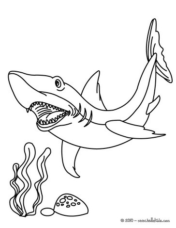 364x470 Cute Shark Coloring Pages