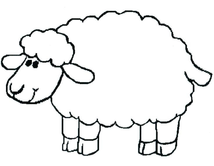 736x570 Coloring Pages Sheep Amazing Sheep Coloring Page 70 For Cute Fun
