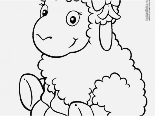 640x480 Ram Coloring Page Shoot Cute Sheep Coloring Pages
