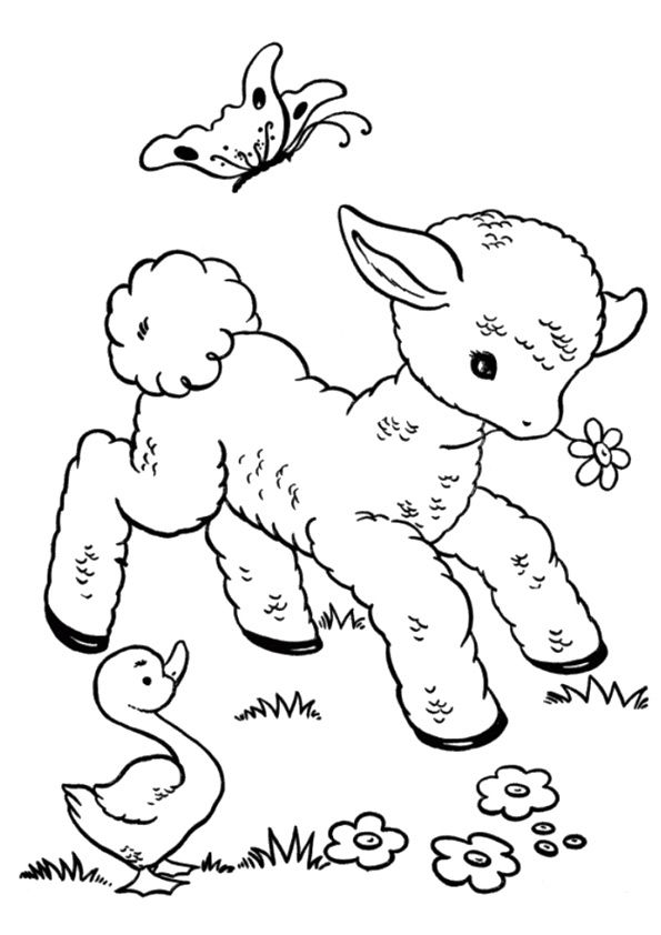 595x842 Print Coloring Image Funny Sheep, Embroidery And Patterns