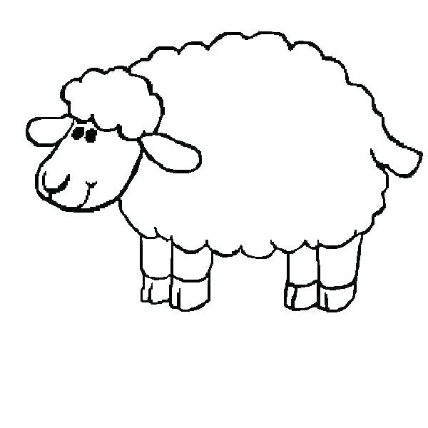 600x600 Shaun The Sheep Coloring Pages