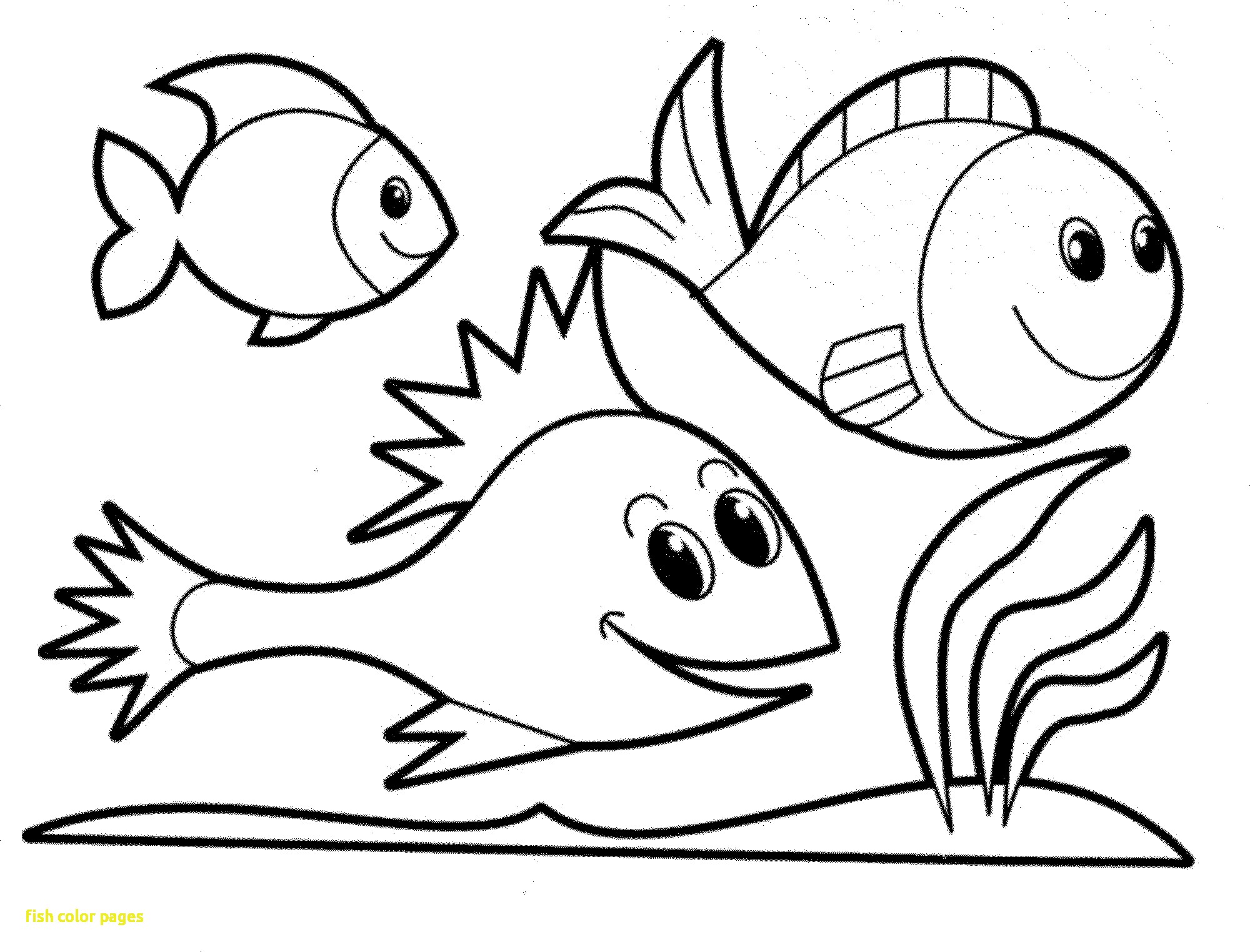 Fish Color Pages With Simple Coloring For Kids Cool Cute 2000x1524 Fish Color Pages With Simple Coloring For Kids Cool Cute