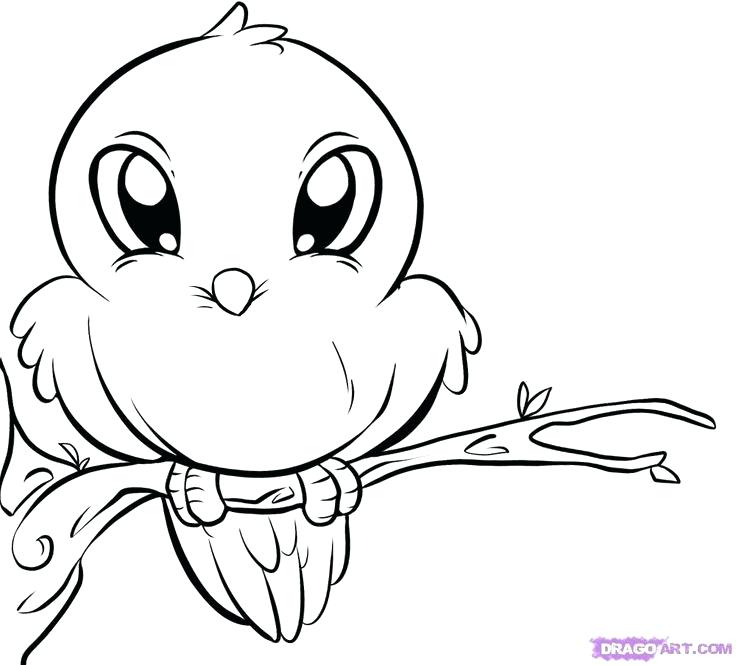 Simple Animal Coloring Pages Sea Animal Coloring Pages Simple 736x665 Simple Animal Coloring Pages Sea Animal Coloring Pages Simple