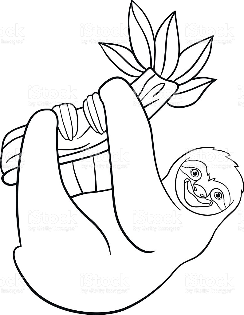 794x1024 Fresh Sloth Coloring Pages Collection Printable Coloring Sheet