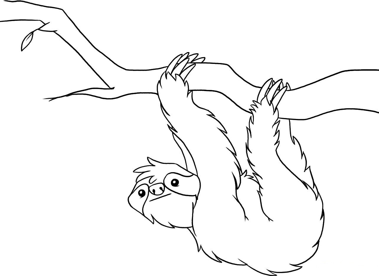 1284x933 Printable Sloth Coloring Pages Kids And Page Qqa Me