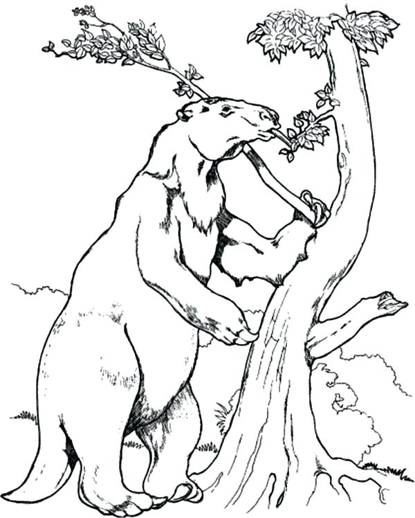 600x748 Sloth Coloring Page Sloth Climb A Tree Coloring Page Baby Sloth