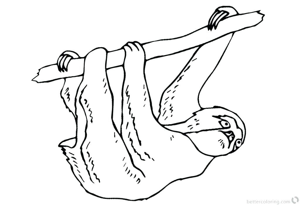 1024x700 Sloth Coloring Page Sloth Coloring Page Download This Coloring