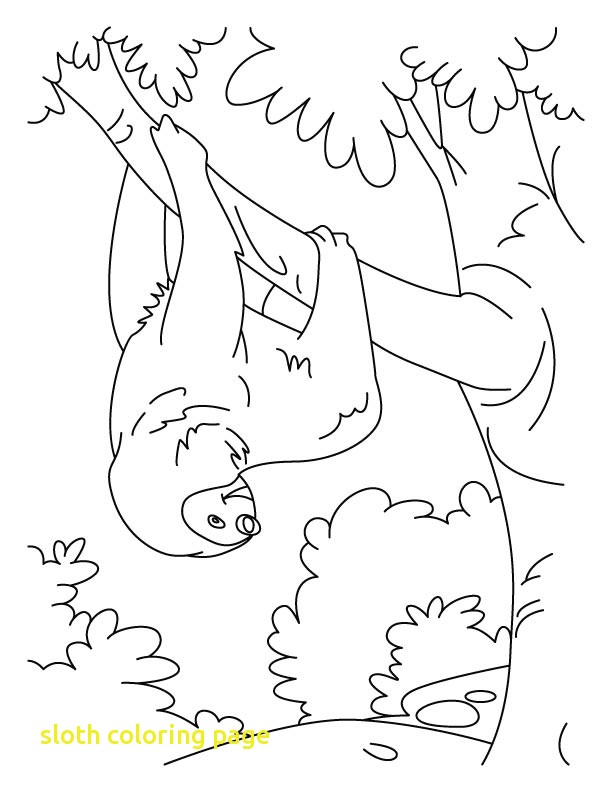 612x792 Sloth Coloring Page With Tumbling Sloth Coloring Pages
