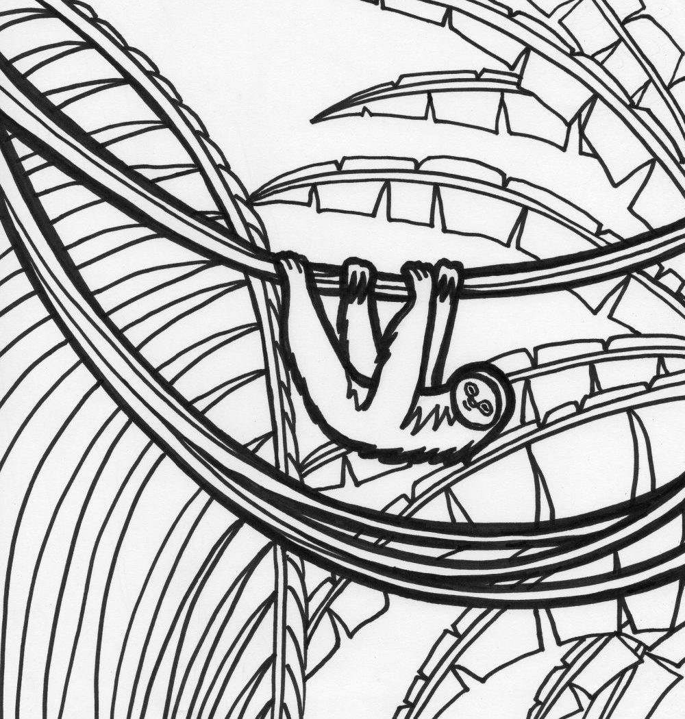 1000x1050 Baby Sloth Coloring Page Unique Top For Kids General To Color