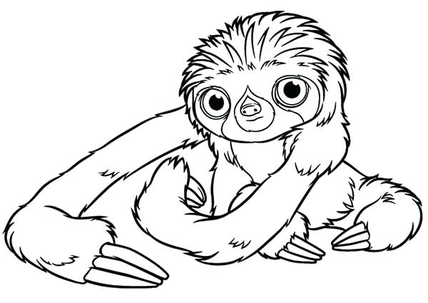 600x425 Cute Sloth Coloring Pages Perfect Sloth Coloring Pages Fee Page