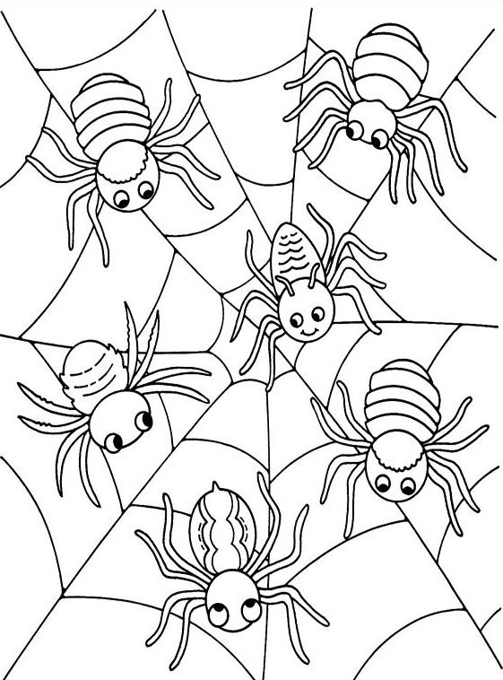Halloween Spider Coloring Page 561x758 Halloween Spider Coloring Page