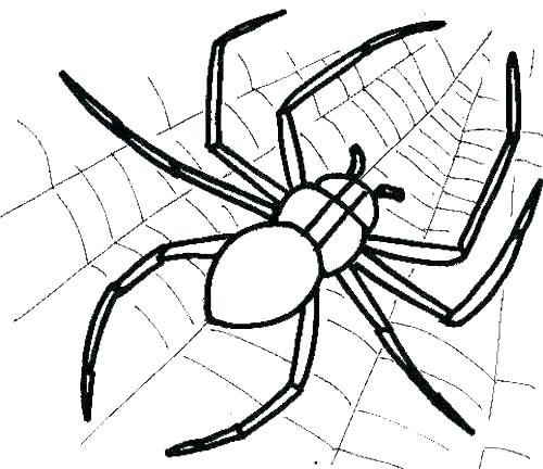 Spider Coloring Sheet Coloring Pages Spider Web Animal Coloring 500x432 Spider Coloring Sheet Coloring Pages Spider Web Animal Coloring