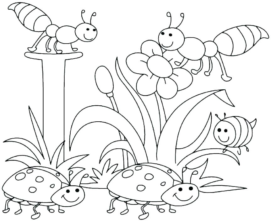 863x708 Spring Coloring Pages For Preschoolers Seasons Coloring Pages