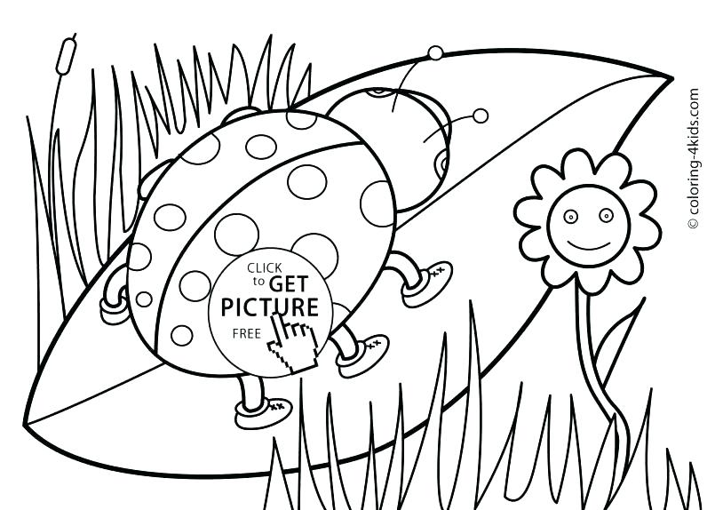 805x574 Spring Coloring Pages For Toddlers Photograph Spring Coloring
