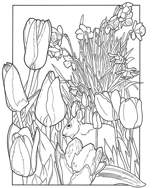 653x800 Adult Coloring Pages En Spring Cute Spring Coloring Pages