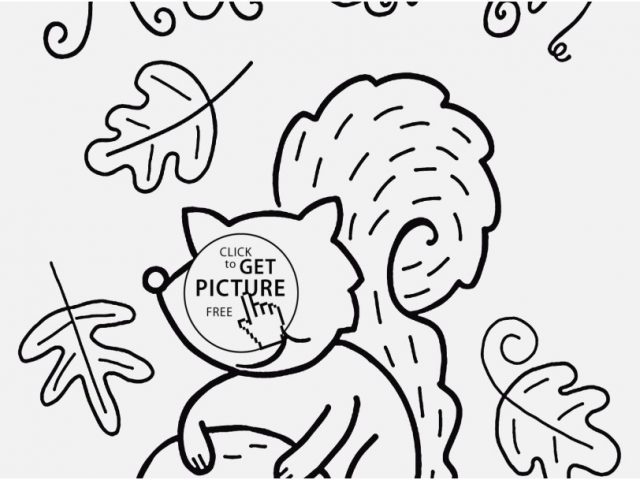 640x480 Lol Doll Coloring Pages Collection Fall And Funny Squirrel