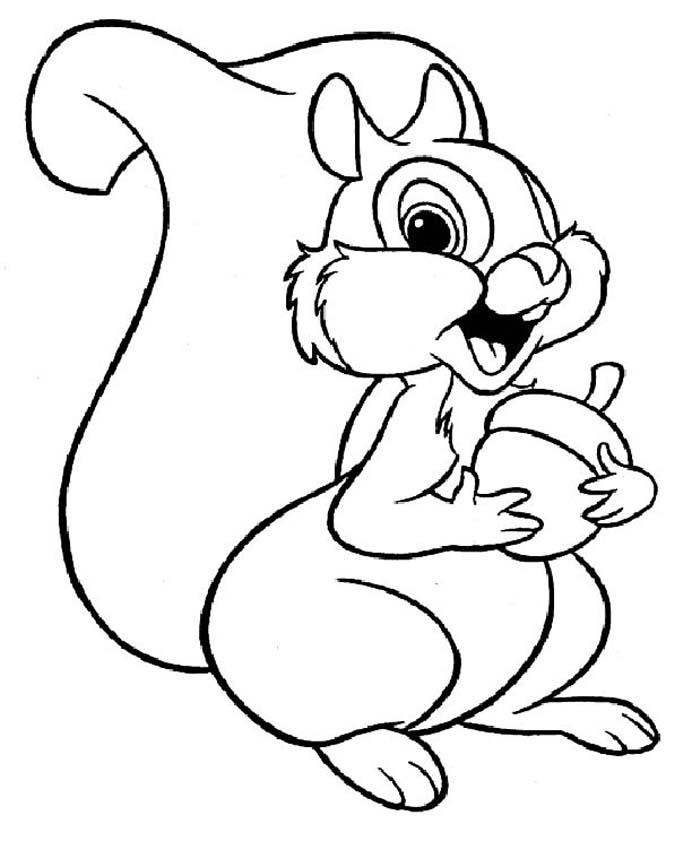692x850 Squirrel Coloring Pages