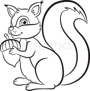 315x320 Coloring Page. Little Cute Squirrel Sits On The Banch Of A Tree
